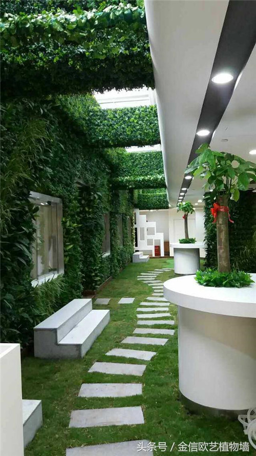 立體綠化植物墻為何這么受歡迎？