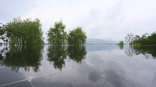 杭州園林：特色蘊于細節(jié)，匠心鑄就精品