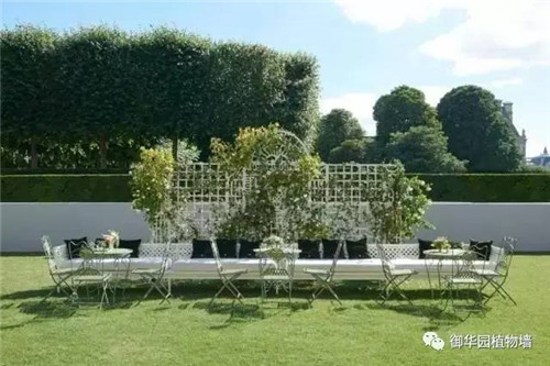 Dior70周年展，植物墻又出風頭了！