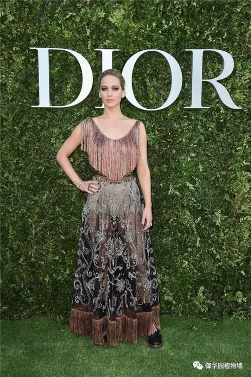 Dior70周年展，植物墻又出風頭了！