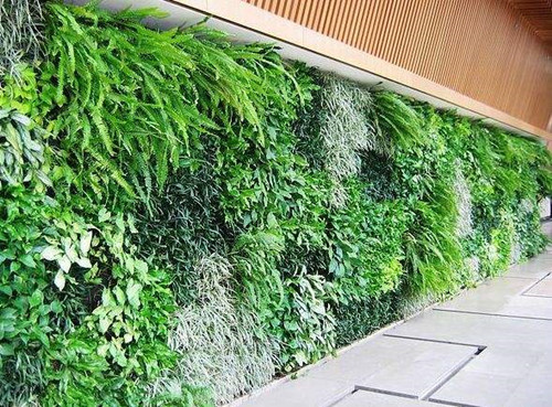 植物墻和垂直綠化是一個(gè)概念嗎？