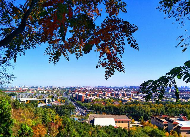 國(guó)家森林城市建設(shè)樹種選擇將影響生態(tài)效果