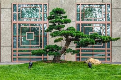農(nóng)莊庭院景觀設(shè)計(jì)技巧