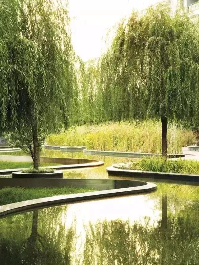 植物與水的搭配讓景觀充滿(mǎn)詩(shī)情畫(huà)意