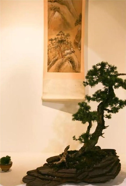 美國(guó)費(fèi)城的盆景與插花藝術(shù)展