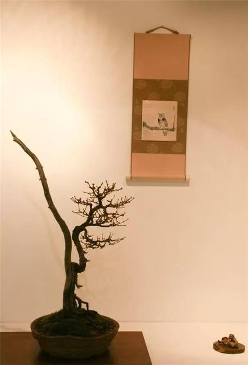 美國(guó)費(fèi)城的盆景與插花藝術(shù)展