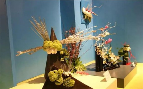 美國(guó)費(fèi)城的盆景與插花藝術(shù)展