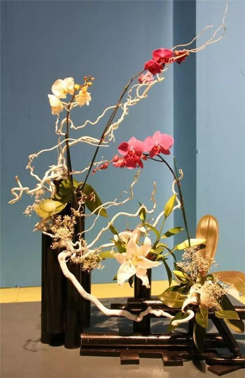 美國(guó)費(fèi)城的盆景與插花藝術(shù)展