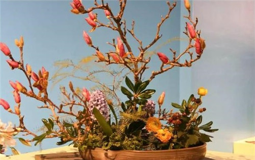 美國(guó)費(fèi)城的盆景與插花藝術(shù)展