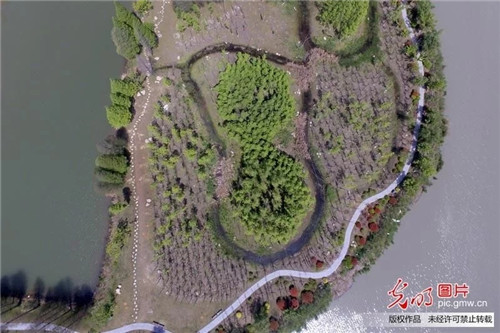 江蘇揚州古運河畔“長”出生態(tài)公園