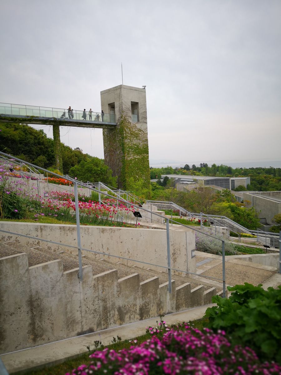 參觀大師安藤忠雄作品 考察大阪住宅與商業(yè)建筑