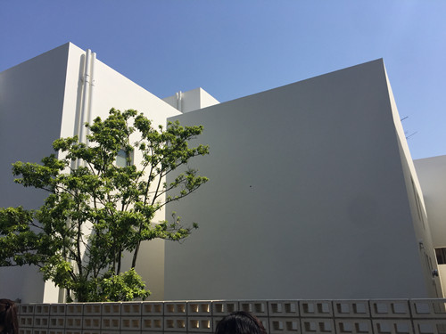 對話佐佐木葉二大師：展現(xiàn)看不見的自然