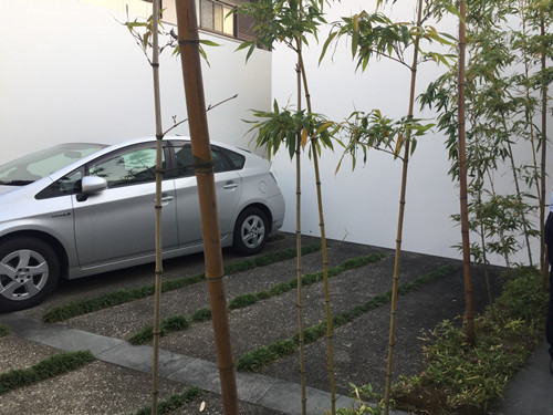 對話佐佐木葉二大師：展現(xiàn)看不見的自然