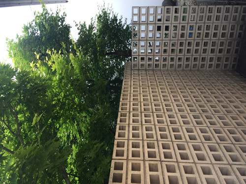 對話佐佐木葉二大師：展現(xiàn)看不見的自然