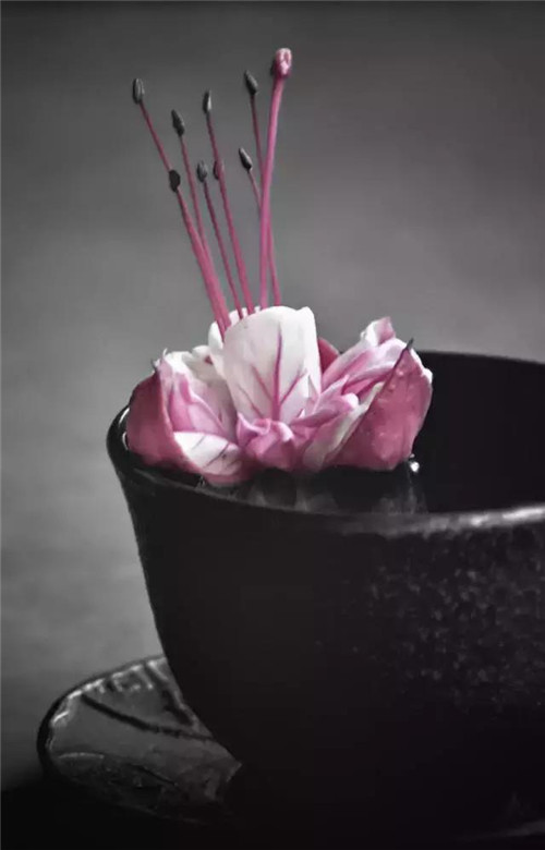 插花入瓶，生活在野