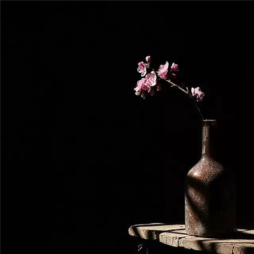 插花入瓶，生活在野