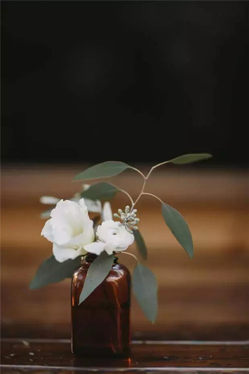 插花入瓶，生活在野