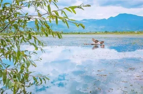 云南省第一個以濕地命名的保護區(qū)