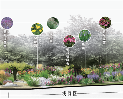 河北省第二屆（秦皇島）園博會(huì)花境創(chuàng)意作品——山海境