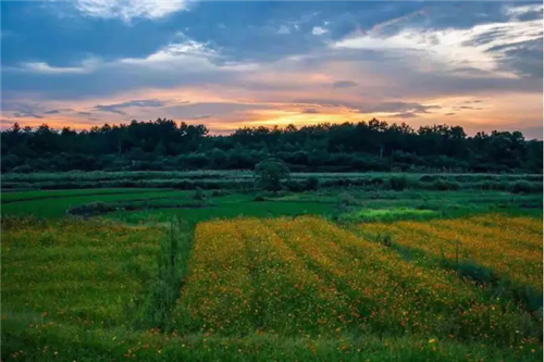鄉(xiāng)村為底圖，設(shè)計(jì)為橋梁：2018第三屆國(guó)際高校建造大賽結(jié)果揭曉