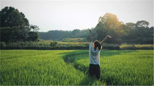 鄉(xiāng)村為底圖，設(shè)計(jì)為橋梁：2018第三屆國(guó)際高校建造大賽結(jié)果揭曉