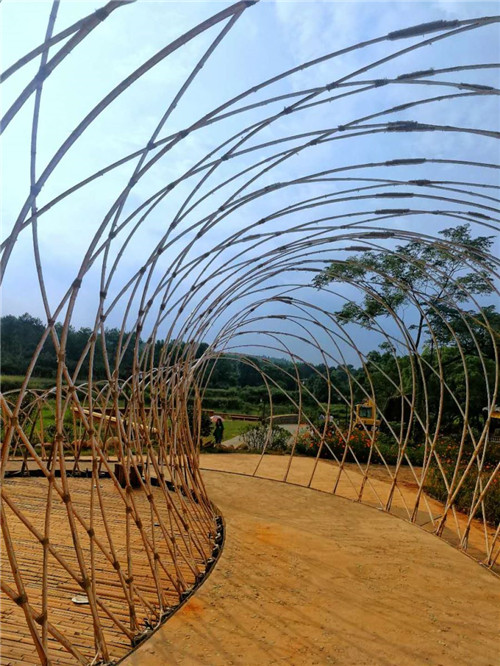 鄉(xiāng)村為底圖，設(shè)計(jì)為橋梁：2018第三屆國(guó)際高校建造大賽結(jié)果揭曉