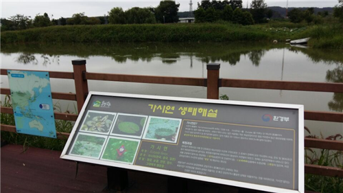 趙泰東：韓國江陵市鏡浦濕地修復計劃和現(xiàn)狀
