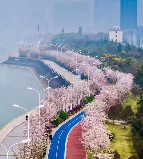 鄭占峰：營造城市山水風(fēng)景