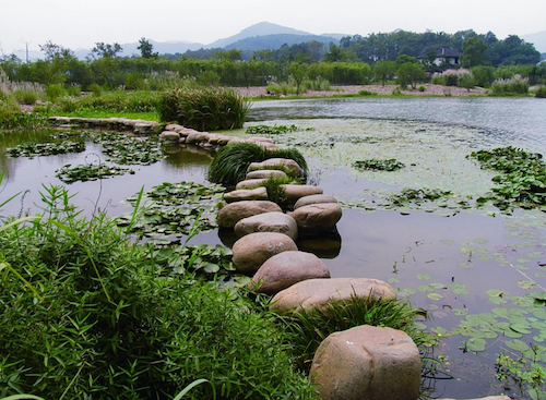 鄭占峰：營造城市山水風(fēng)景