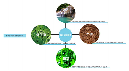 園冶杯專業(yè)獎：楊柳灣濱河公園景觀設(shè)計