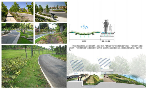 園冶杯專業(yè)獎：楊柳灣濱河公園景觀設(shè)計
