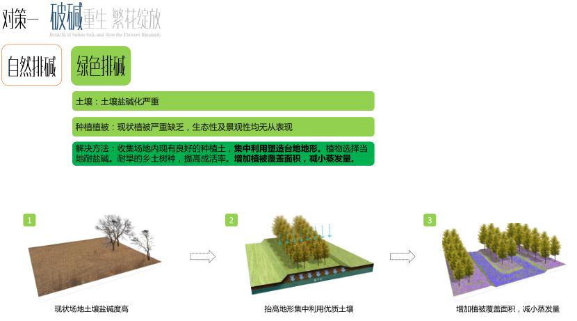 園冶杯專業(yè)獎(jiǎng)：黃驊城西花卉園工程設(shè)計(jì)方案