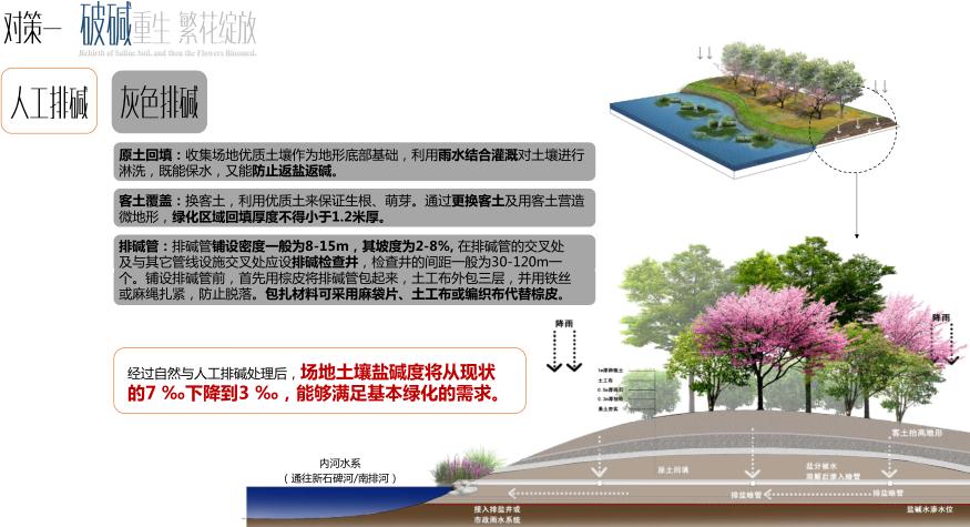 園冶杯專業(yè)獎(jiǎng)：黃驊城西花卉園工程設(shè)計(jì)方案