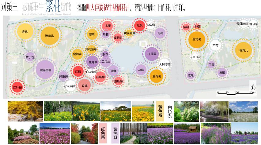 園冶杯專業(yè)獎(jiǎng)：黃驊城西花卉園工程設(shè)計(jì)方案