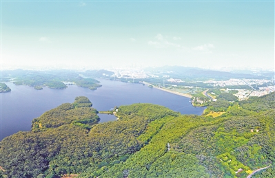 東莞城市設(shè)計(jì)：造“翡翠項(xiàng)鏈”建活力城區(qū)