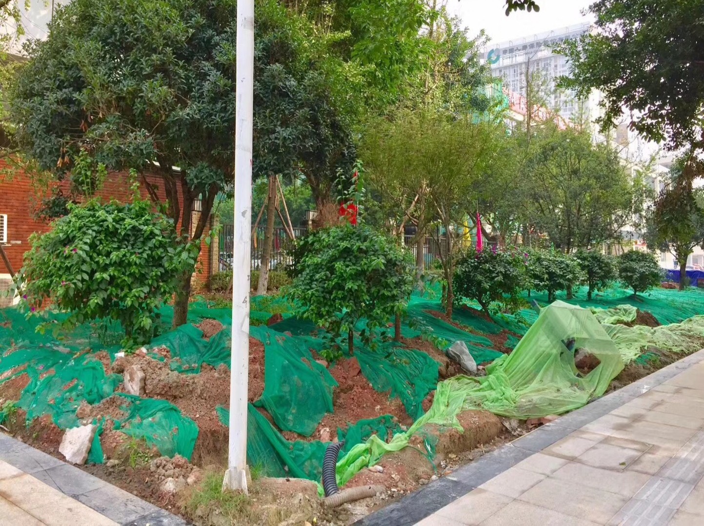 園冶杯專業(yè)獎：資陽市嬌子大道綜合整治建設(shè)工程-節(jié)點景觀提升
