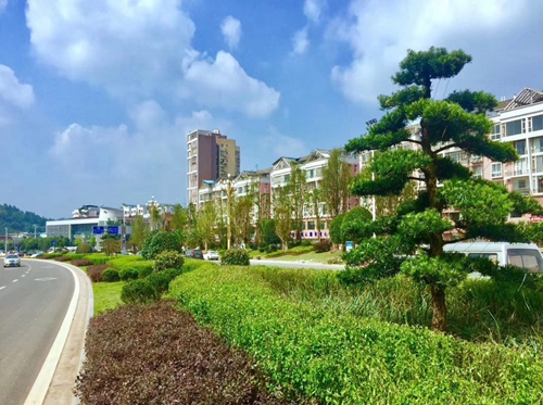 園冶杯專業(yè)獎：資陽市嬌子大道綜合整治建設(shè)工程-節(jié)點景觀提升