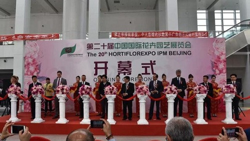 2018中國花卉市場回顧：風(fēng)云變幻 電商崛起