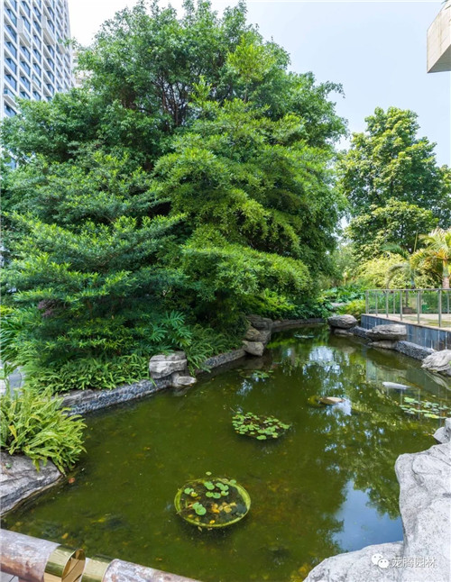 日觀山水，夜賞流螢|廣西北海北部灣1號(hào)