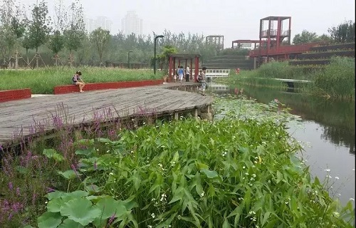 讀城 | 城市是不是越“綠”越好？