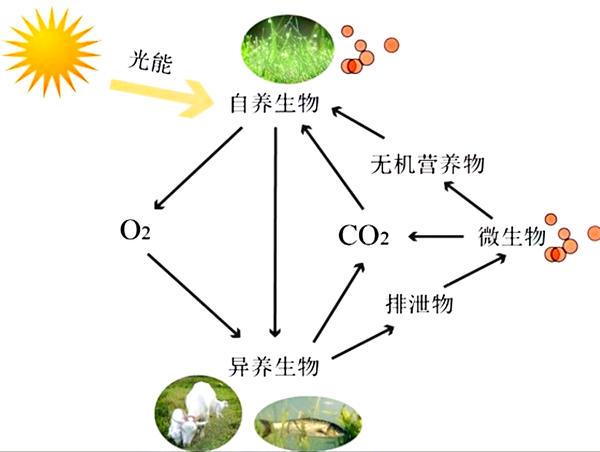 水生態(tài)系統(tǒng)保護(hù)、修復(fù)、利用的思考與實(shí)踐