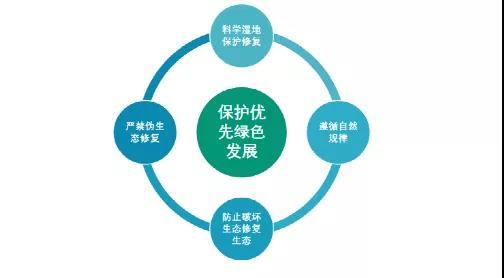鮑達明：加強濕地保護，促進綠色發(fā)展