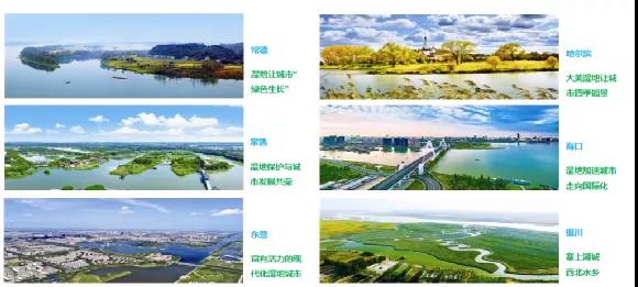 鮑達明：加強濕地保護，促進綠色發(fā)展