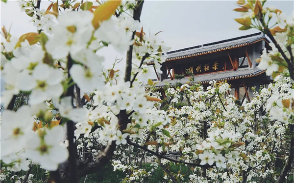 臺州·黃巖交旅集團(tuán)枕山酒店