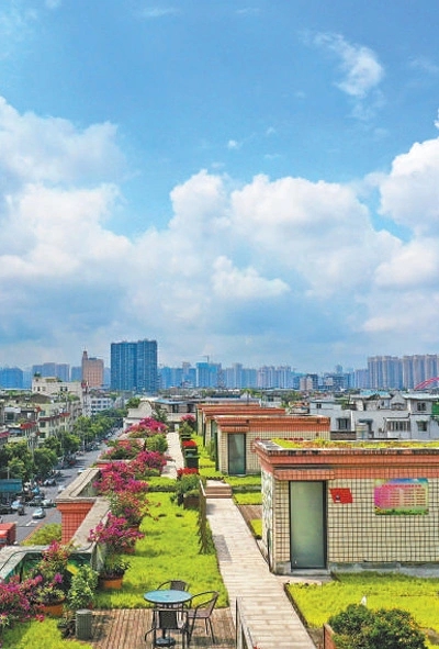 成都天府新區(qū)：讓公園城市有機生長