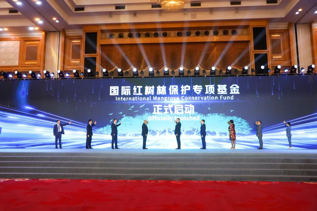 我國(guó)首次舉辦國(guó)際紅樹林保護(hù)高級(jí)別論壇