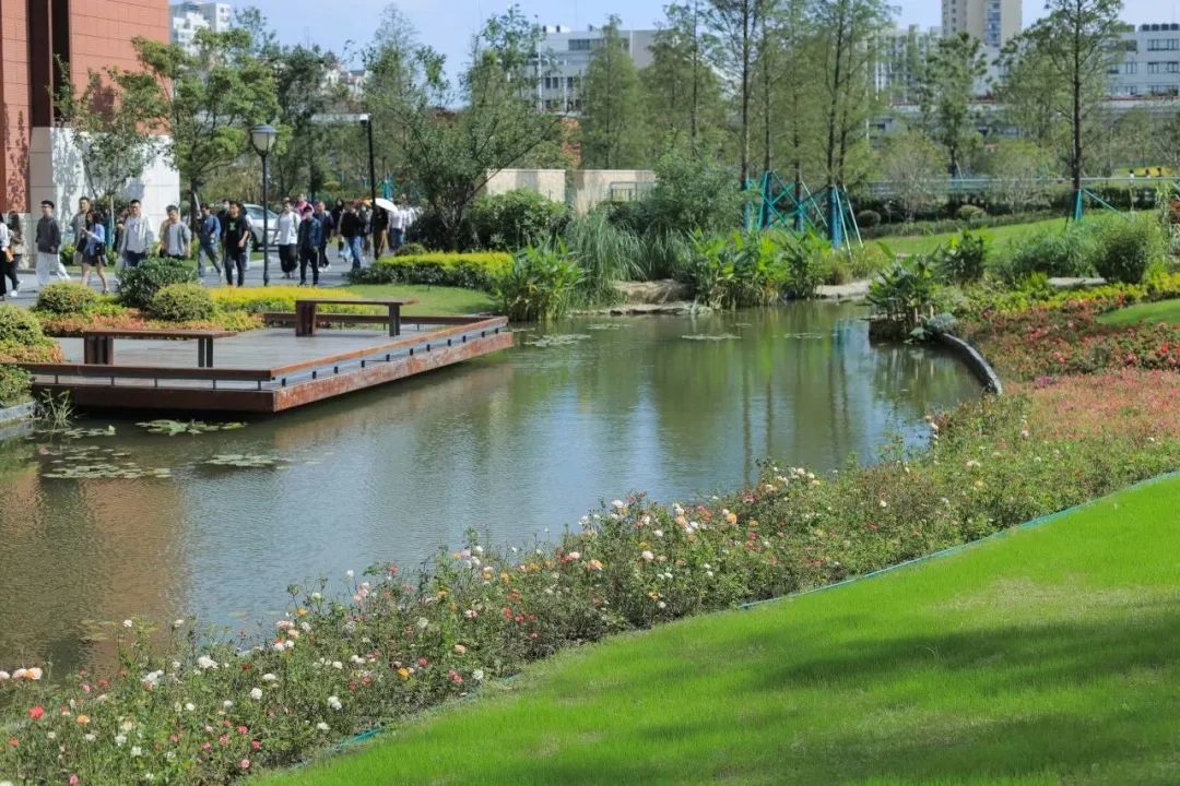 上?！扒@工程”讓公園與城市無界共生