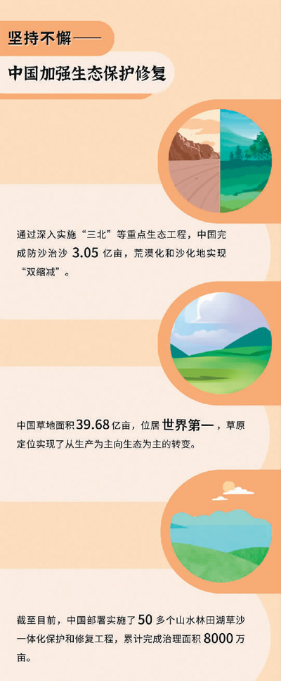 自然恢復(fù)與人工修復(fù)如何相輔相成