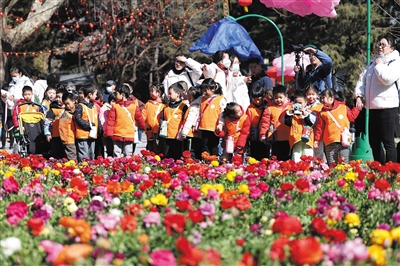 北京市推動花園城市建設，5個區(qū)開展試點工作