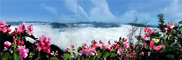 瀘古高速服務(wù)區(qū)及周邊地塊城市設(shè)計競賽，邀您參加